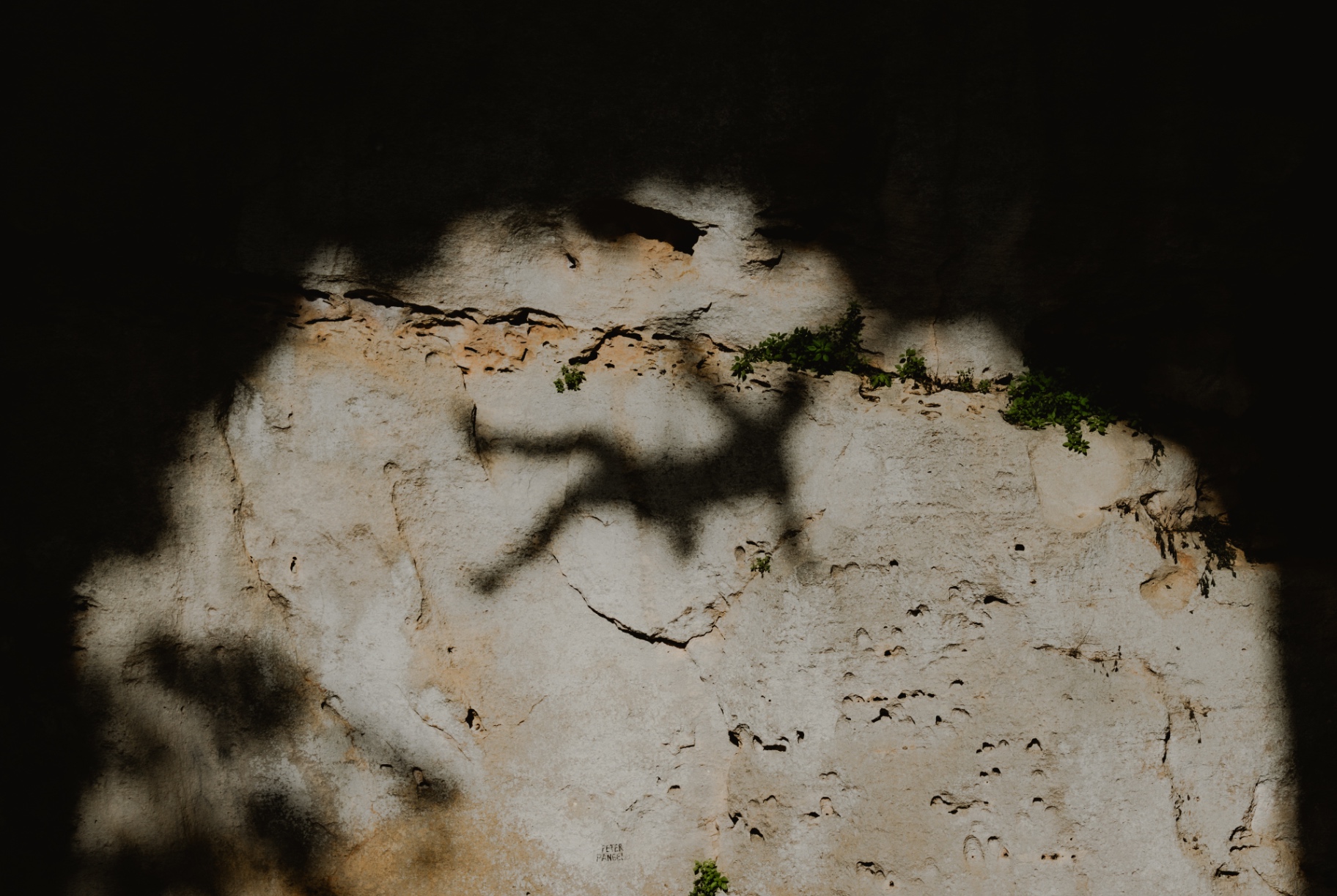Climber's shadow cast on a limestone wall